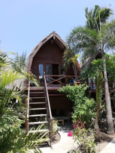 a house with a thatched roof and palm trees