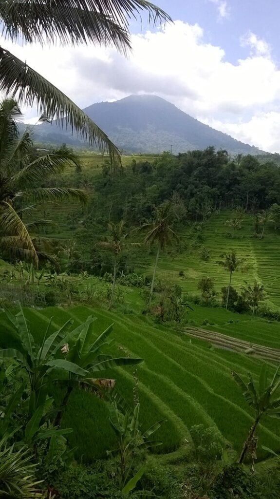 a green field with trees and a mountain in the background